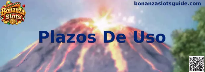 Información sobre Plazos De Uso en Bonanza Slots